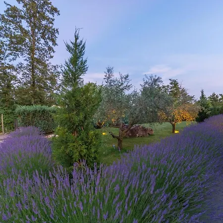 Villa Kate Istria *